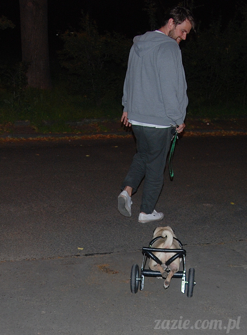 Grupa Ochoczo: Sputnik Studio, Nioska, Syd Breslauer, Zazie & Latający Mops