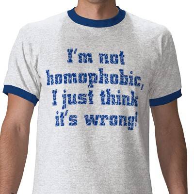 im_not_homophobic_tshirt-p235084761092886932b7kte_400