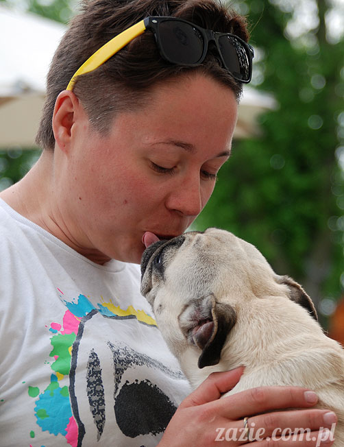  pug pugs mopsy mopsiki Kumok Miszur 