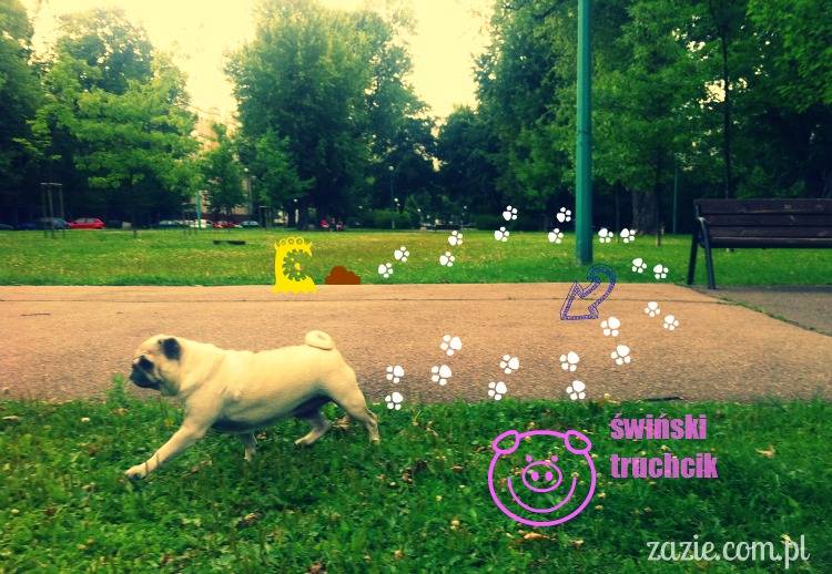 codziennik_zazie_sroda_03