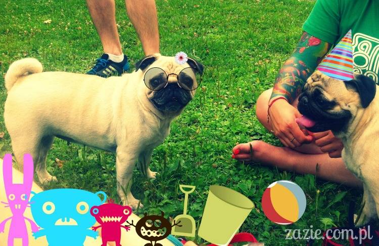 codziennik_zazie_sroda_04