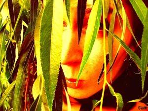 z cyklu: bronisław malinowski przedstawia –