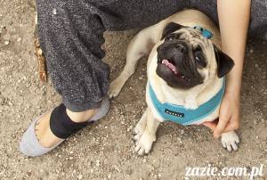 wszystko co najważniejsze