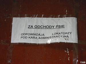 O małym krecie, który chciał wiedzieć, kto mu narobił na głowę