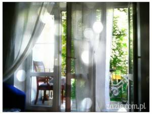 codziennik Zazie (1) – wtorek:  owadzia mać!