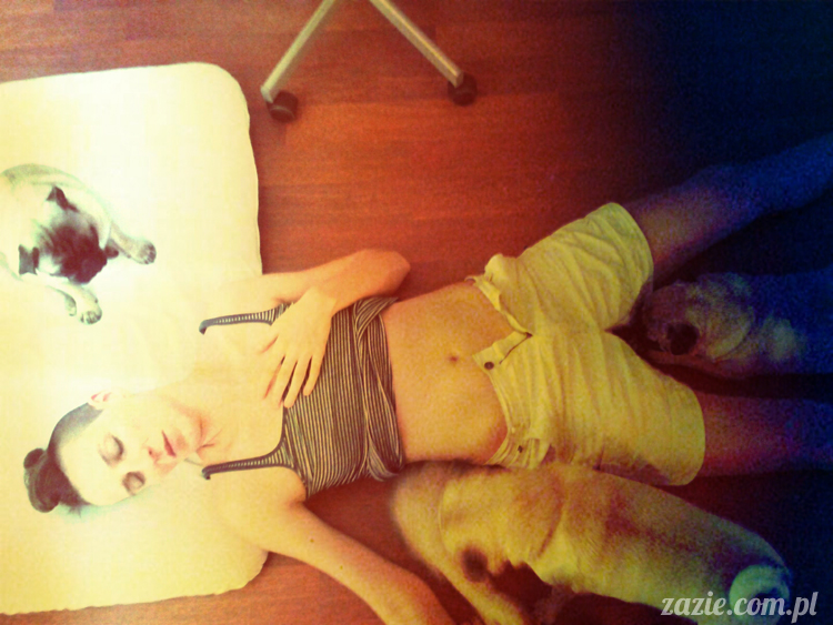 mopsy mopsiki lato lipiec Zazie