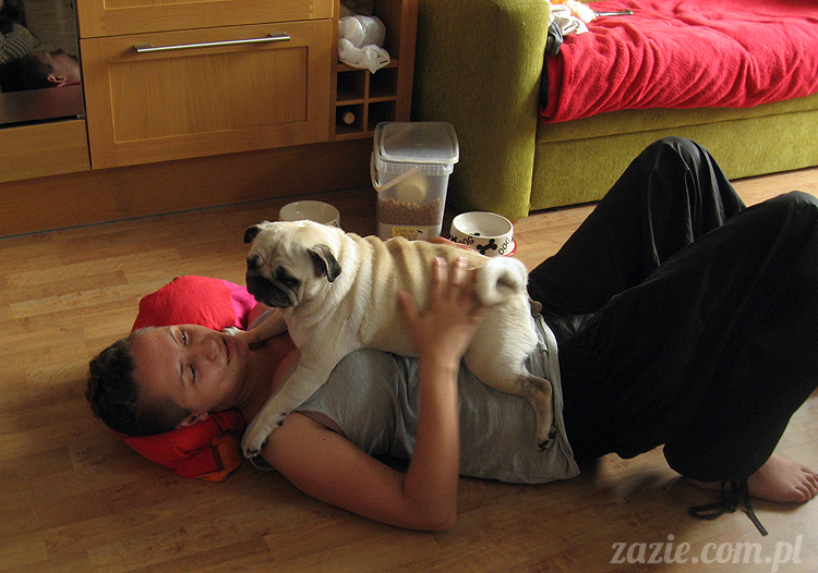 Grupa Ochoczo: Sputnik Studio, Nioska, Syd Breslauer, Zazie & Latający Mops