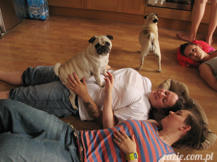 Grupa Ochoczo: Sputnik Studio, Nioska, Syd Breslauer, Zazie & Latający Mops