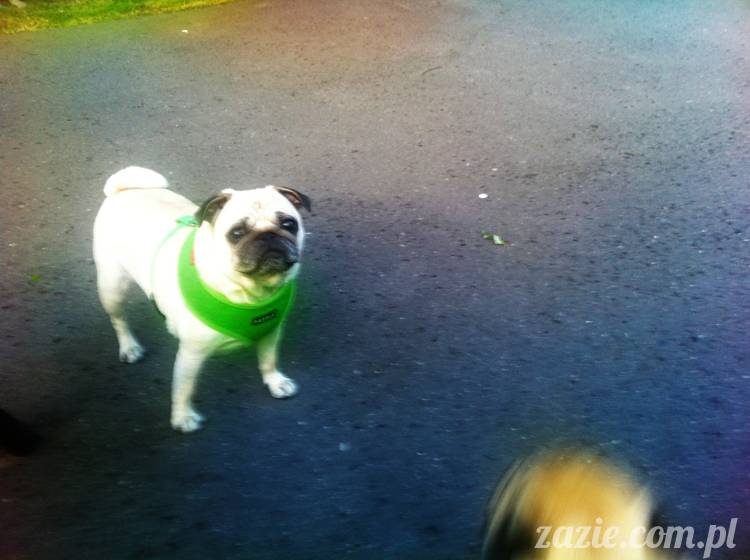 wyrzutnia_miszurkow_03