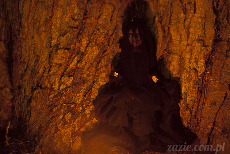 lalki Zazie custom dolls blythe pullip dal monster high