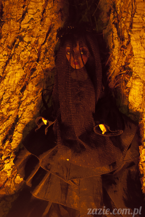 lalki Zazie custom dolls blythe pullip dal monster high