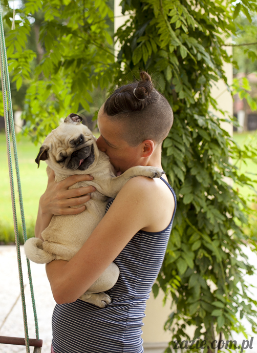 mopsy mopsiki Kumok i Miszur w Pałacu Wiechlice