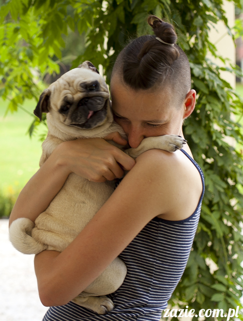 mopsy mopsiki Kumok i Miszur w Pałacu Wiechlice