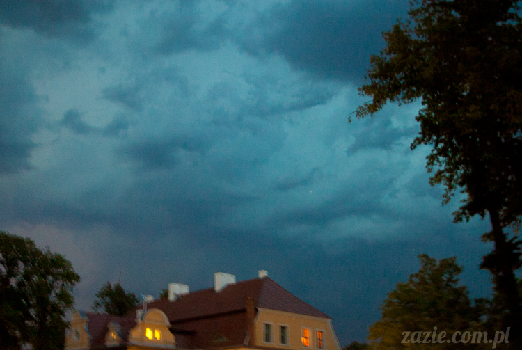 Pałac Wiechlice lato 2012 Pałac Wiechlice lato 2012