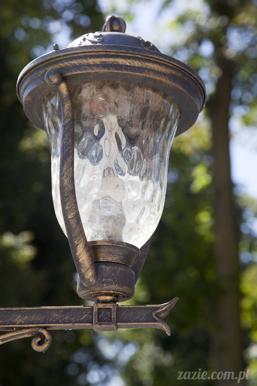 Pałac Wiechlice Szprotawa hotel spa restauracja noclegi golf basen joga konferencje wesela sala balowa bankiety catering masaże kosmetyczka aerobik odnowa biologiczna ekologiczny ośrodek wypoczynkowy Pałac Wiechlice Szprotawa hotel spa restauracja noclegi golf basen joga konferencje wesela sala balowa bankiety catering masaże kosmetyczka aerobik odnowa biologiczna ekologiczny ośrodek wypoczynkowy