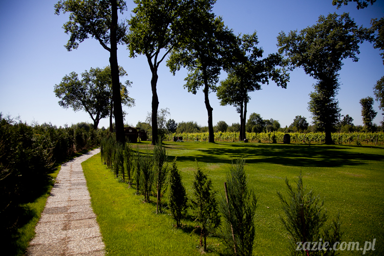 Pałac Wiechlice Szprotawa hotel spa restauracja noclegi golf basen joga konferencje wesela sala balowa bankiety catering masaże kosmetyczka aerobik odnowa biologiczna ekologiczny ośrodek wypoczynkowy Pałac Wiechlice Szprotawa hotel spa restauracja noclegi golf basen joga konferencje wesela sala balowa bankiety catering masaże kosmetyczka aerobik odnowa biologiczna ekologiczny ośrodek wypoczynkowy