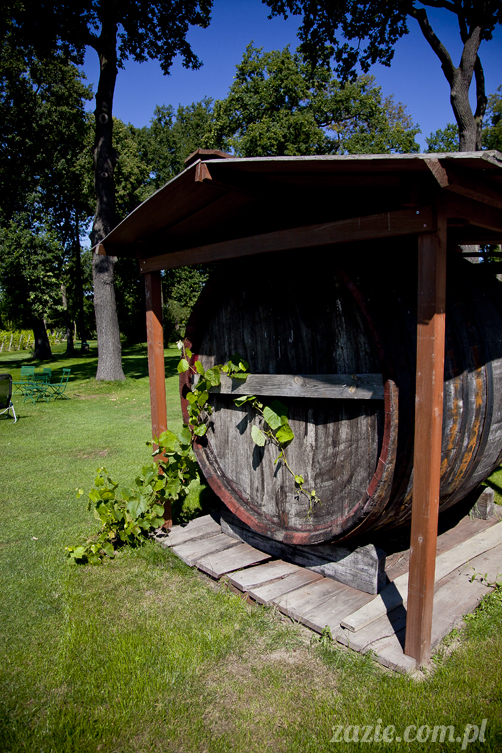 Pałac Wiechlice Szprotawa hotel spa restauracja noclegi golf basen joga konferencje wesela sala balowa bankiety catering masaże kosmetyczka aerobik odnowa biologiczna ekologiczny ośrodek wypoczynkowy Pałac Wiechlice Szprotawa hotel spa restauracja noclegi golf basen joga konferencje wesela sala balowa bankiety catering masaże kosmetyczka aerobik odnowa biologiczna ekologiczny ośrodek wypoczynkowy