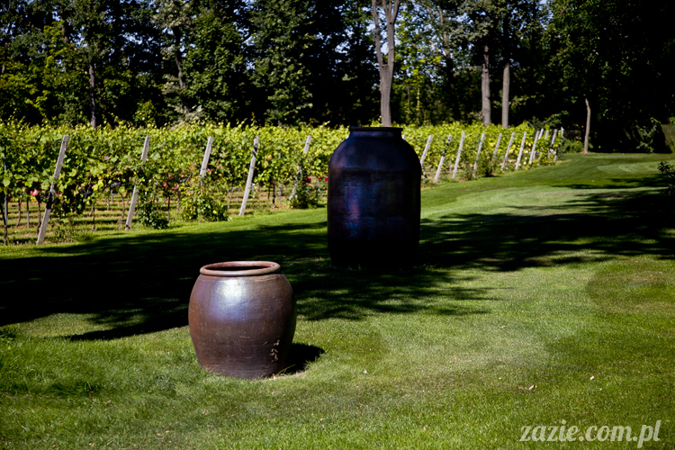 Pałac Wiechlice Szprotawa hotel spa restauracja noclegi golf basen joga konferencje wesela sala balowa bankiety catering masaże kosmetyczka aerobik odnowa biologiczna ekologiczny ośrodek wypoczynkowy Pałac Wiechlice Szprotawa hotel spa restauracja noclegi golf basen joga konferencje wesela sala balowa bankiety catering masaże kosmetyczka aerobik odnowa biologiczna ekologiczny ośrodek wypoczynkowy