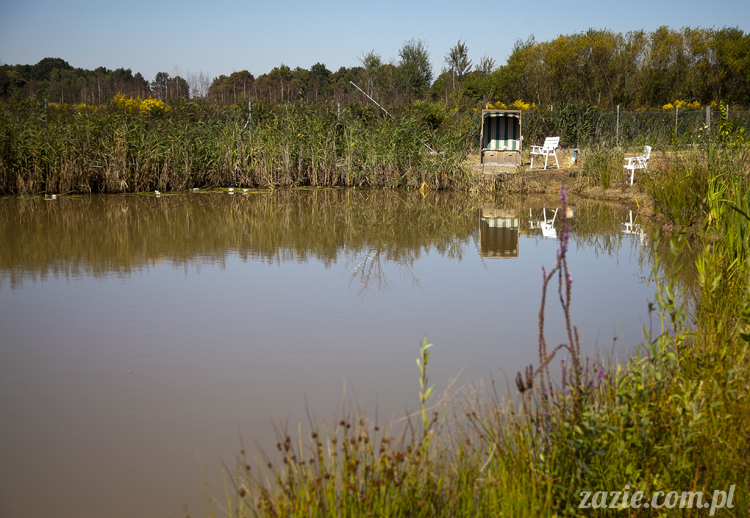 Pałac Wiechlice Szprotawa hotel spa restauracja noclegi golf basen joga konferencje wesela sala balowa bankiety catering masaże kosmetyczka aerobik odnowa biologiczna ekologiczny ośrodek wypoczynkowy Pałac Wiechlice Szprotawa hotel spa restauracja noclegi golf basen joga konferencje wesela sala balowa bankiety catering masaże kosmetyczka aerobik odnowa biologiczna ekologiczny ośrodek wypoczynkowy