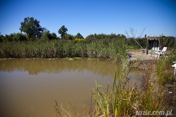 Pałac Wiechlice Szprotawa hotel spa restauracja noclegi golf basen joga konferencje wesela sala balowa bankiety catering masaże kosmetyczka aerobik odnowa biologiczna ekologiczny ośrodek wypoczynkowy Pałac Wiechlice Szprotawa hotel spa restauracja noclegi golf basen joga konferencje wesela sala balowa bankiety catering masaże kosmetyczka aerobik odnowa biologiczna ekologiczny ośrodek wypoczynkowy