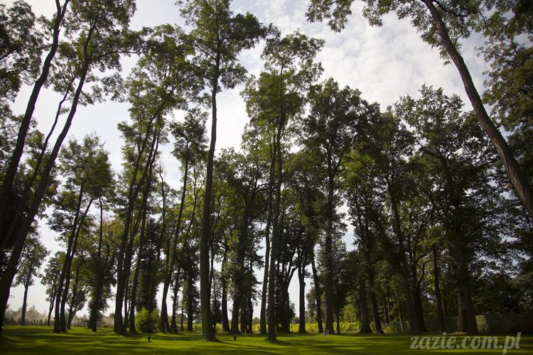 Pałac Wiechlice Szprotawa hotel spa restauracja noclegi golf basen joga konferencje wesela sala balowa bankiety catering masaże kosmetyczka aerobik odnowa biologiczna ekologiczny ośrodek wypoczynkowy Pałac Wiechlice Szprotawa hotel spa restauracja noclegi golf basen joga konferencje wesela sala balowa bankiety catering masaże kosmetyczka aerobik odnowa biologiczna ekologiczny ośrodek wypoczynkowy
