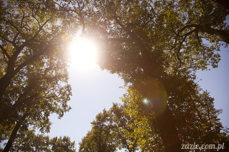 Pałac Wiechlice Szprotawa hotel spa restauracja noclegi golf basen joga konferencje wesela sala balowa bankiety catering masaże kosmetyczka aerobik odnowa biologiczna ekologiczny ośrodek wypoczynkowy Pałac Wiechlice Szprotawa hotel spa restauracja noclegi golf basen joga konferencje wesela sala balowa bankiety catering masaże kosmetyczka aerobik odnowa biologiczna ekologiczny ośrodek wypoczynkowy