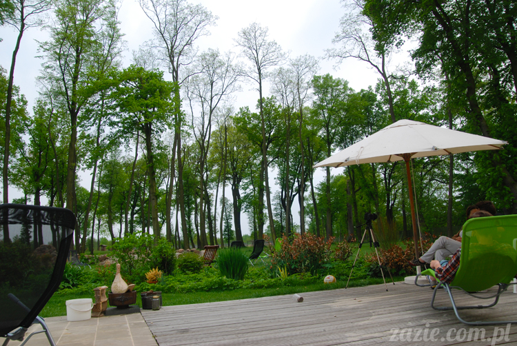 Pałac Wiechlice Szprotawa hotel spa restauracja noclegi golf basen joga konferencje wesela sala balowa bankiety catering masaże kosmetyczka aerobik odnowa biologiczna ekologiczny ośrodek wypoczynkowy