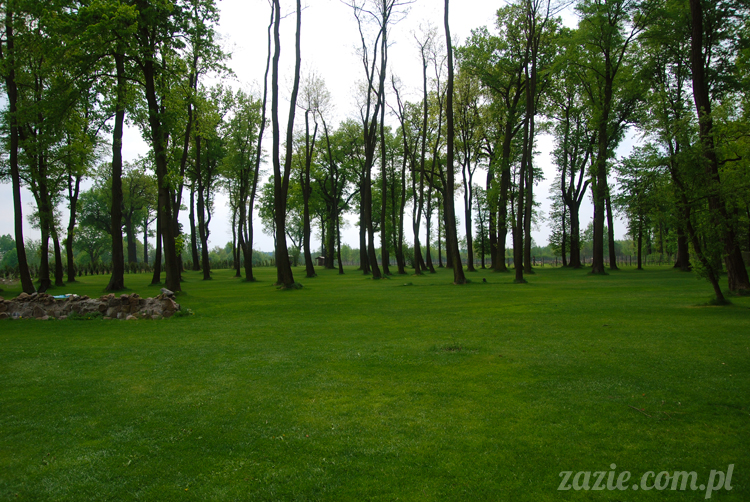 Pałac Wiechlice Szprotawa hotel spa restauracja noclegi golf basen joga konferencje wesela sala balowa bankiety catering masaże kosmetyczka aerobik odnowa biologiczna ekologiczny ośrodek wypoczynkowy