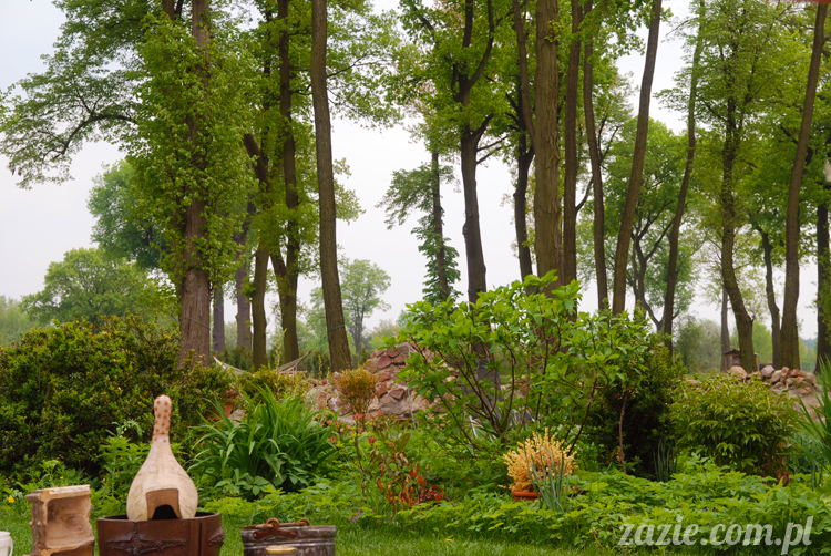 Pałac Wiechlice Szprotawa hotel spa restauracja noclegi golf basen joga konferencje wesela sala balowa bankiety catering masaże kosmetyczka aerobik odnowa biologiczna ekologiczny ośrodek wypoczynkowy