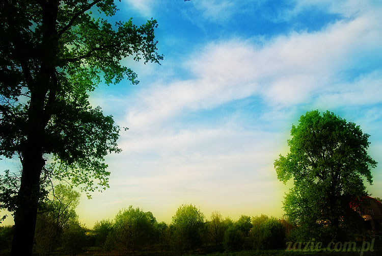 Wiechlice Szprotawa Niegosławice