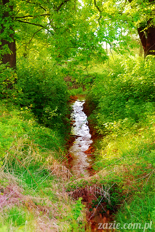 Wiechlice Szprotawa Niegosławice Wiechlice Szprotawa Niegosławice