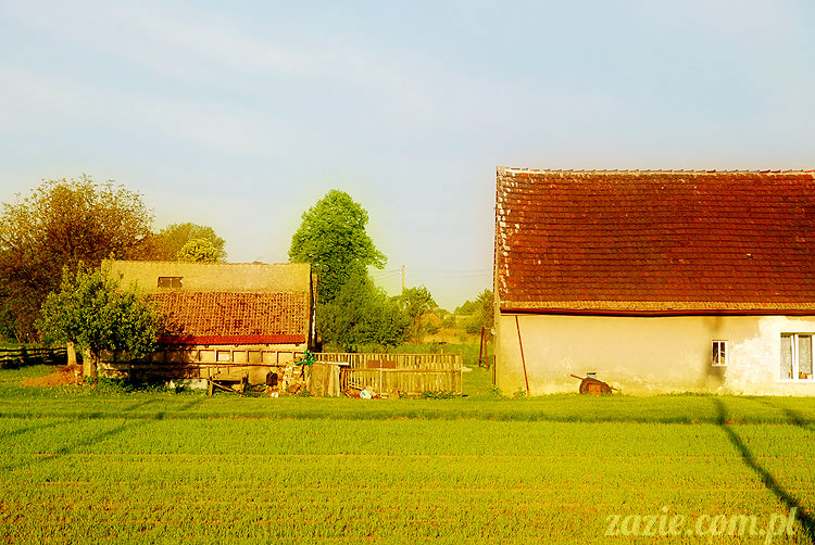 Wiechlice Szprotawa Niegosławice