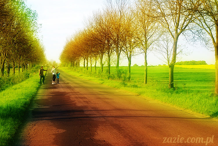 Wiechlice Szprotawa Niegosławice