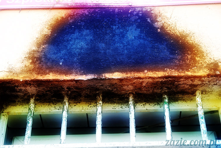 Wiechlice Szprotawa Niegosławice