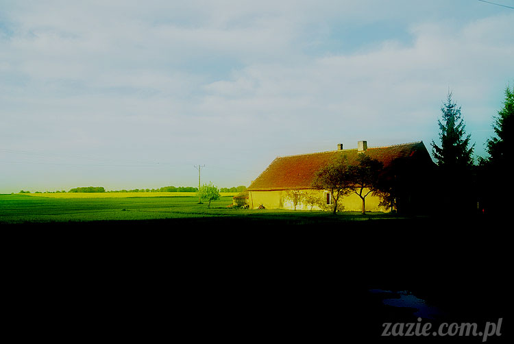 Wiechlice Szprotawa Niegosławice