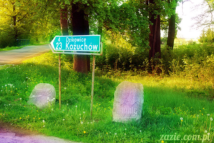 Wiechlice Szprotawa Niegosławice