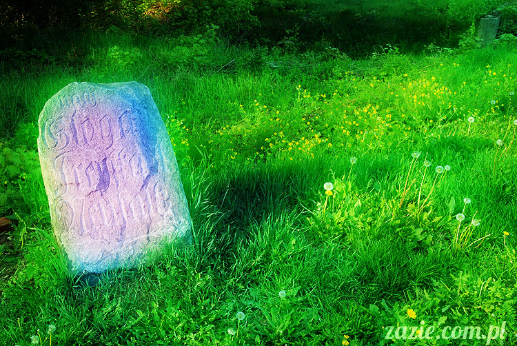 Wiechlice Szprotawa Niegosławice