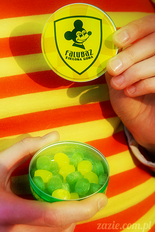 Wiechlice Szprotawa Niegosławice Wiechlice Szprotawa Niegosławice