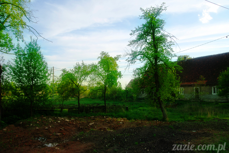 Wiechlice Szprotawa Niegosławice Wiechlice Szprotawa Niegosławice