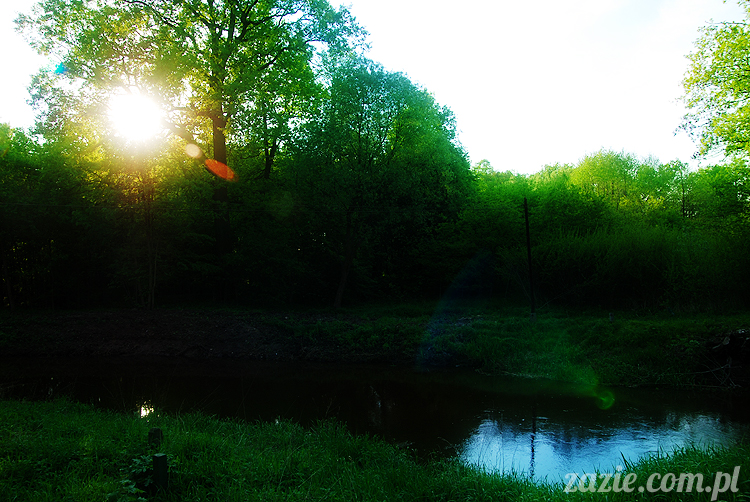 Wiechlice Szprotawa Niegosławice Wiechlice Szprotawa Niegosławice