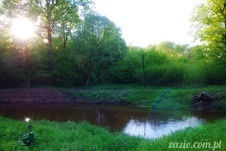 Wiechlice Szprotawa Niegosławice