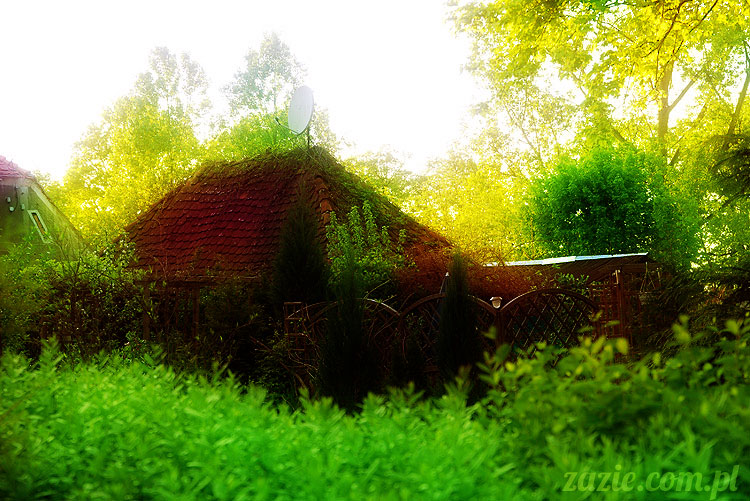 Wiechlice Szprotawa Niegosławice