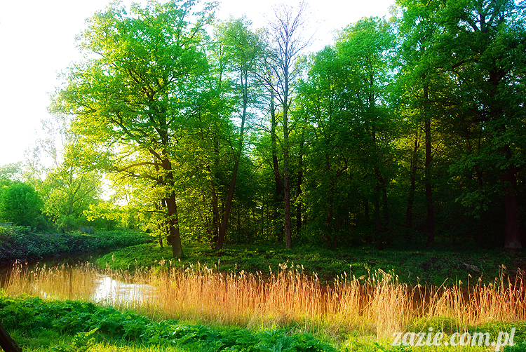 Wiechlice Szprotawa Niegosławice Wiechlice Szprotawa Niegosławice