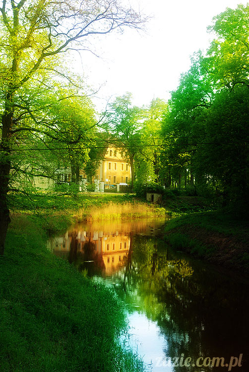 Wiechlice Szprotawa Niegosławice