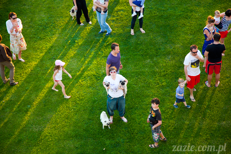 Wakacje Zazie i Syd z mopsami Kumokiem i Miszurem 2012 w Pałacu Wiechlice
