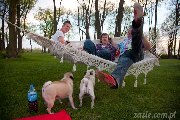 Wakacje Zazie i Syd z mopsami Kumokiem i Miszurem 2012 w Pałacu Wiechlice