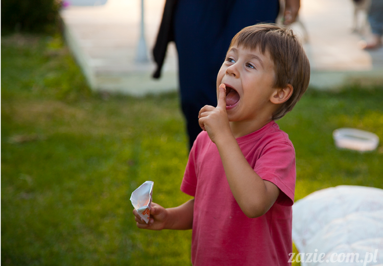 Wakacje Zazie i Syd z mopsami Kumokiem i Miszurem 2012 w Pałacu Wiechlice