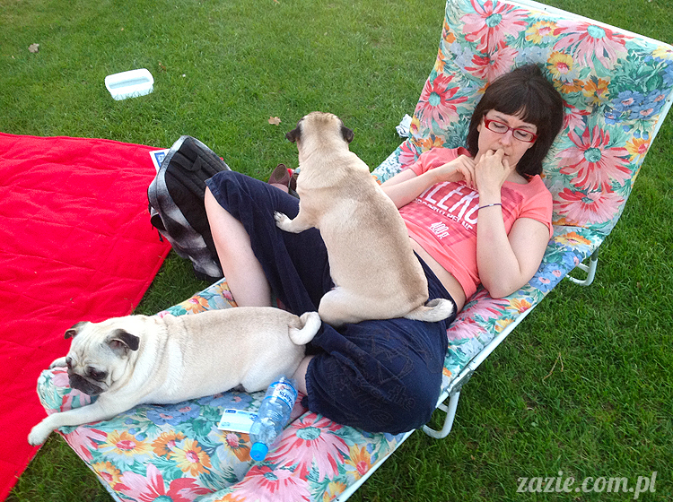 Wakacje Zazie i Syd z mopsami Kumokiem i Miszurem 2012 w Pałacu Wiechlice