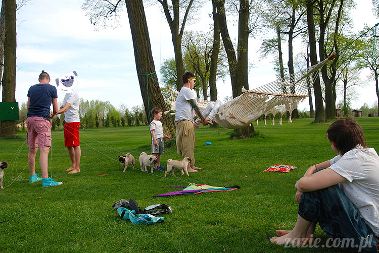 Wakacje Zazie i Syd z mopsami Kumokiem i Miszurem 2012 w Pałacu Wiechlice