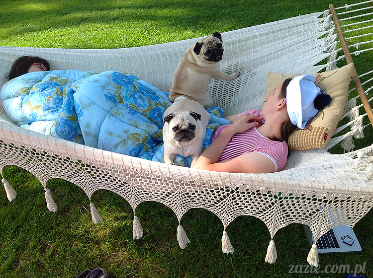 Wakacje Zazie i Syd z mopsami Kumokiem i Miszurem 2012 w Pałacu Wiechlice